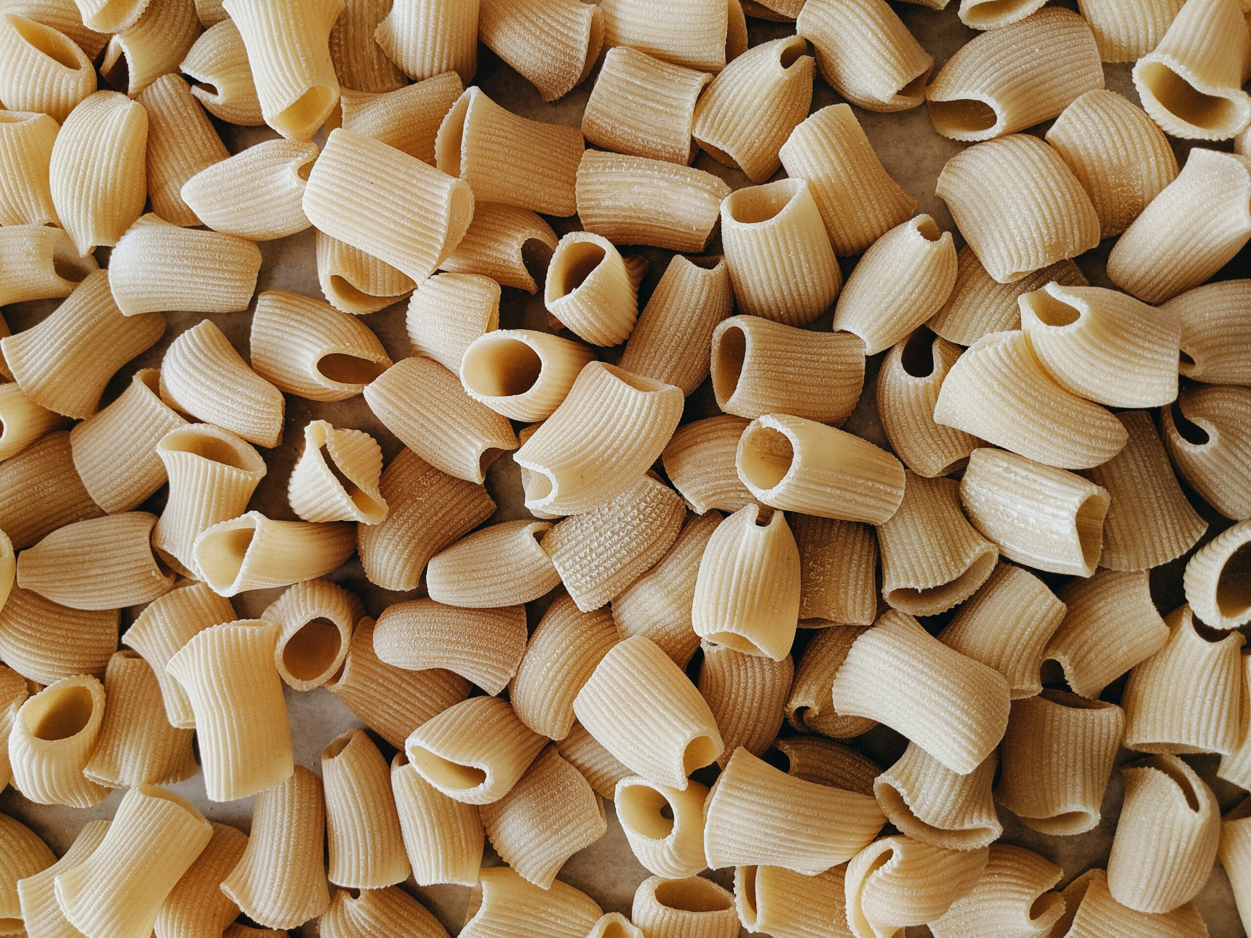 Frische Mezzi Paccheri – grob gerillte Röhrennudeln, ideal für sämige Saucen und herzhafte italienische Küche