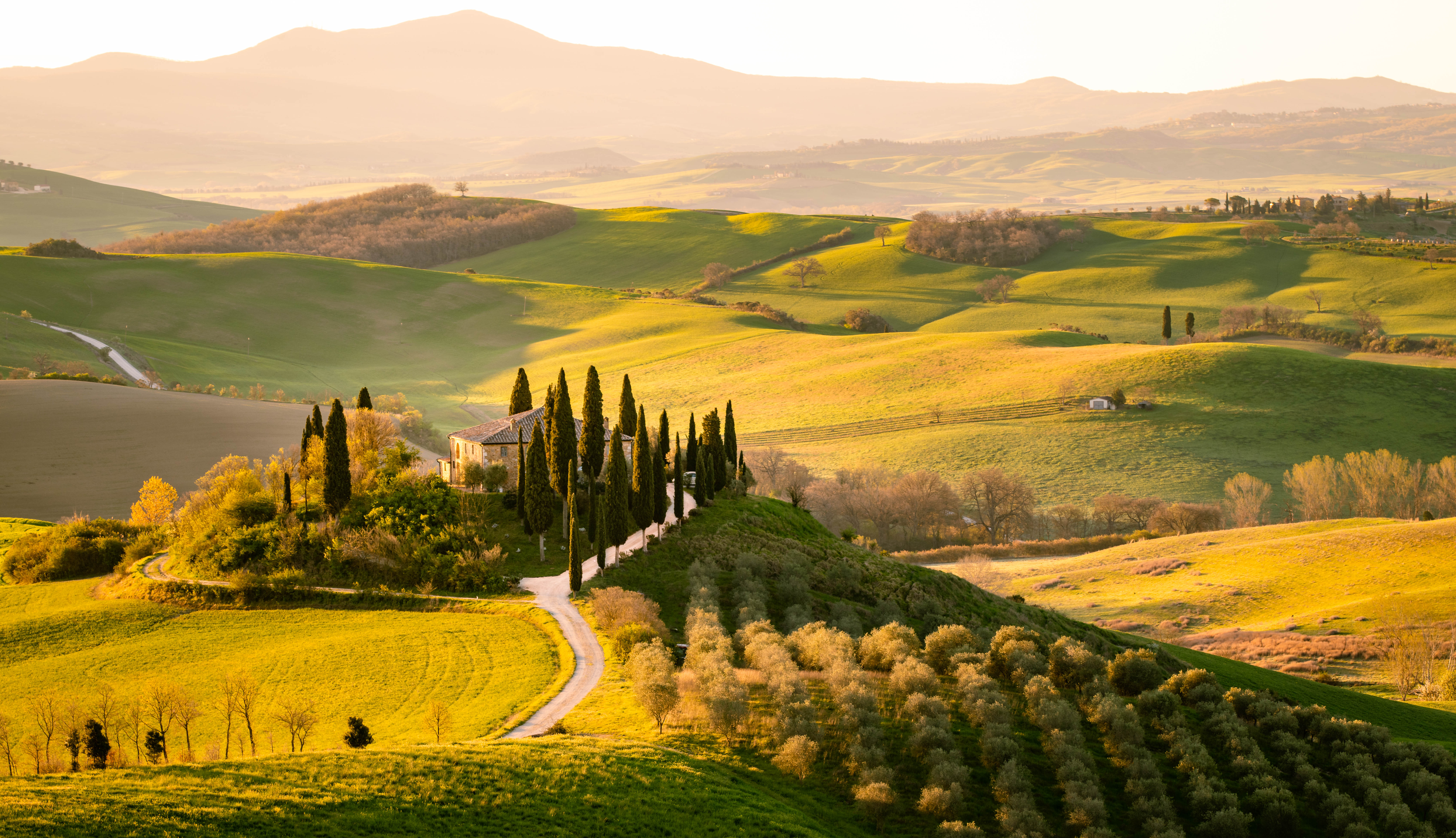 Sanfte Hügel der Toskana im Abendlicht, gesäumt von Zypressen, Olivenhainen und einem rustikalen Landhaus – pura bellezza italiana.